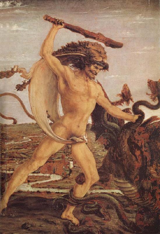Antonio del Pollaiuolo Hercules and the Hydra Spain oil painting art